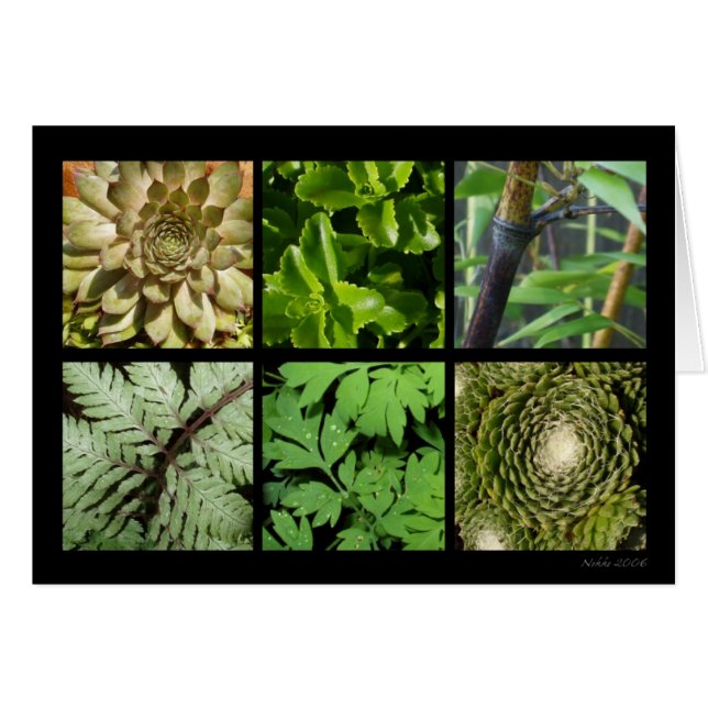 Green Foliage Card (Voorkant Horizontaal)