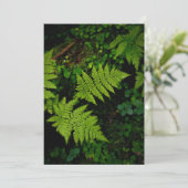 Green forest fern, Earth Day Card (Staand voorkant)