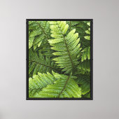 Green Forest Ferns Botanical Canvas Afdruk (Voorkant)