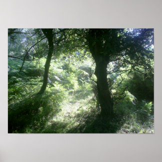 Green Forest Glade Poster