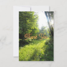 Green Forest Meadow