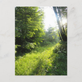 Green Forest Meadow Briefkaart