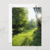 Green Forest Meadow Briefkaart (Voorkant / Achterkant)