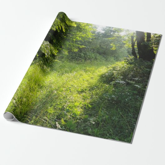 Green Forest Meadow Cadeaupapier (Uitgerold)