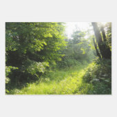 Green Forest Meadow Inpakpapier Vel (Voorkant 3)