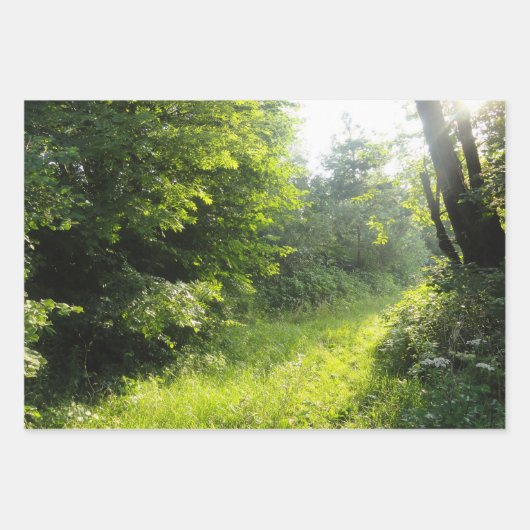 Green Forest Meadow Inpakpapier Vel (Voorkant 2)