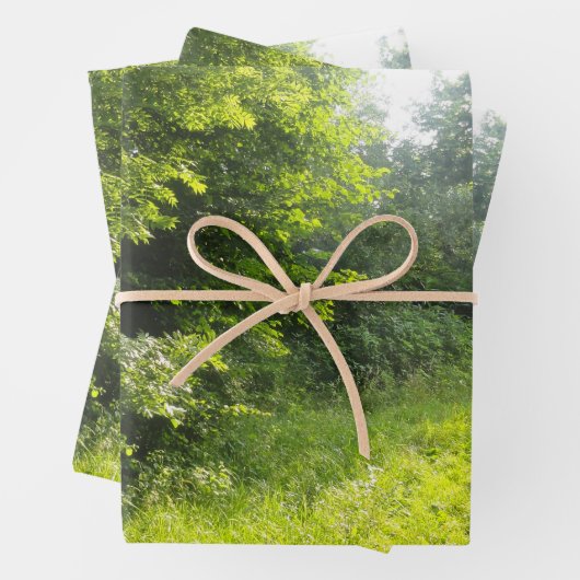 Green Forest Meadow Inpakpapier Vel (In situ)