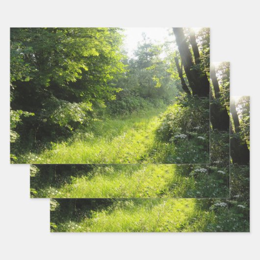 Green Forest Meadow Inpakpapier Vel (Set)