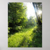 Green Forest Meadow Poster (Voorkant)