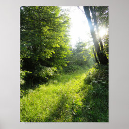 Green Forest Meadow Poster