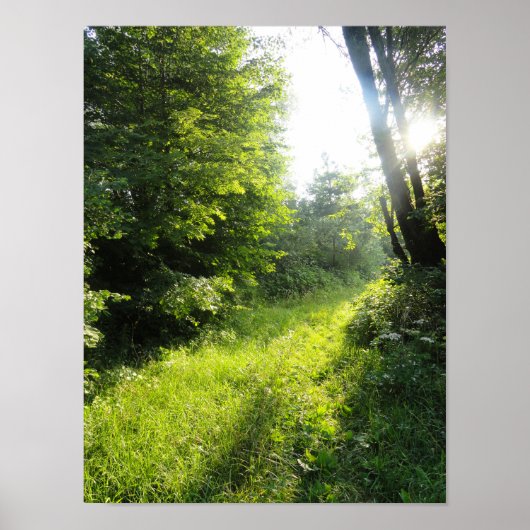 Green Forest Meadow Poster (Voorkant)