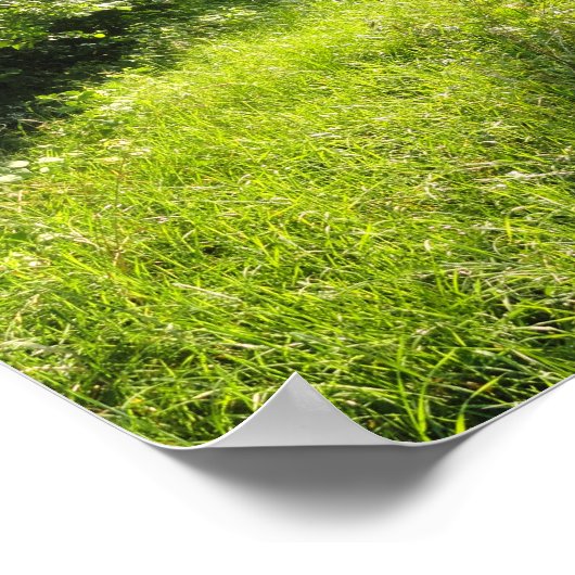 Green Forest Meadow Poster (Hoek)