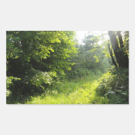 Green Forest Meadow Rechthoekige Sticker (Voorkant)