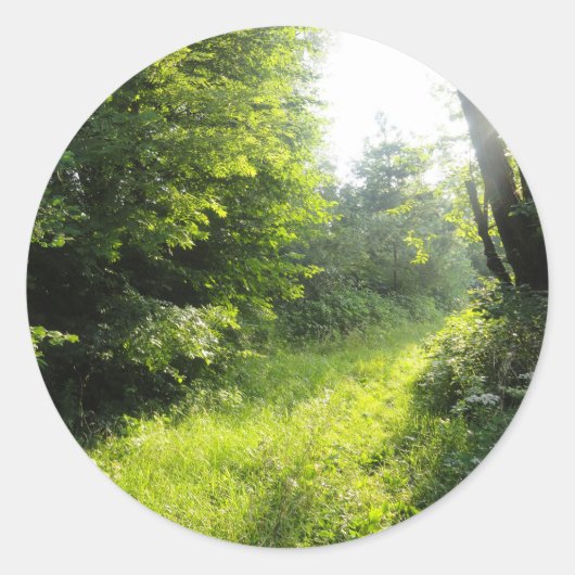 Green Forest Meadow Ronde Sticker (Voorkant)