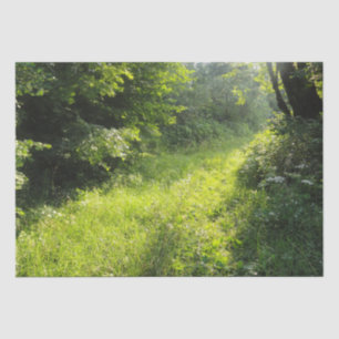 Green Forest Meadow Tissuepapier