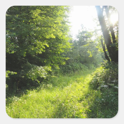 Green Forest Meadow Vierkante Sticker (Voorkant)