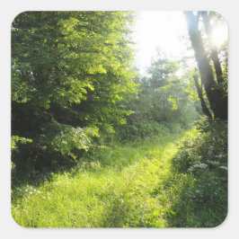 Green Forest Meadow Vierkante Sticker