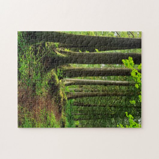 Green Forest Trail Schilderachtig Legpuzzel (Horizontaal)
