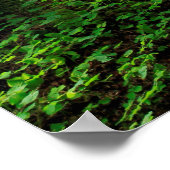 Green Forest Trail Schilderachtig Poster (Hoek)