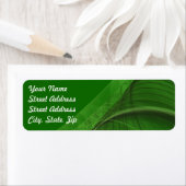 Green Fractal Background Return Address Sticker (Insitu)