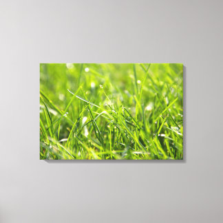 Green Fresh Morning Grass Canvas Afdruk