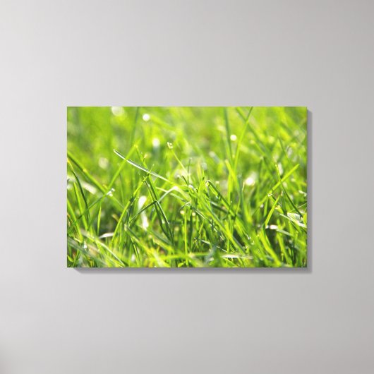 Green Fresh Morning Grass Canvas Afdruk (Voorkant)