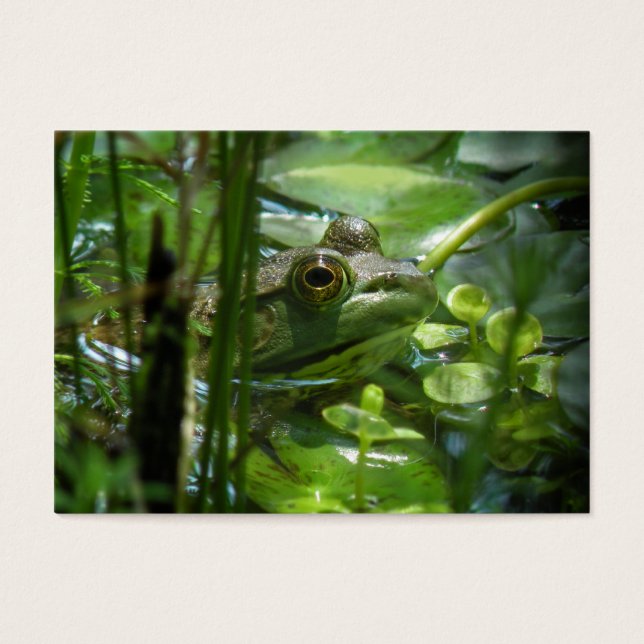 Green Frog ATC fotokaart Visitekaartjes (Voorkant)
