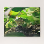 Green Frog Jigzaag Puzzle Legpuzzel (Horizontaal)