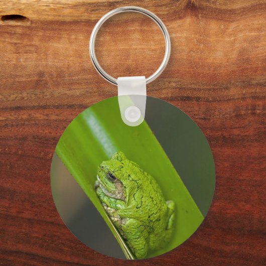 Green Frog Macro Sleutelhanger (Voorkant)