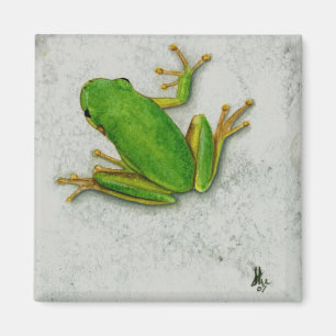 Green Frog Magnet