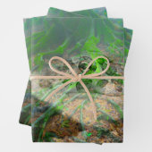 Green Frog Mossy Frog Inpakpapier Vel (In situ)