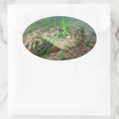 Green Frog Mossy Frog Ovale Sticker (Tas)