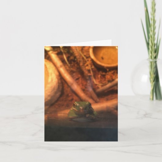 Green Frog Notecard (aanmoediging) Kaart (Voorkant)