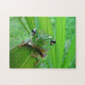 Green Frog Puzzle Legpuzzel (Horizontaal)