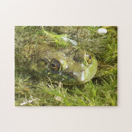 Green Frog Puzzle Legpuzzel (Horizontaal)