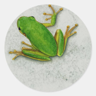 Green Frog Sticker Sheet