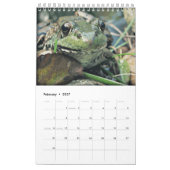 Green Frogs Calendar 2016 Kalender (Feb 2027)