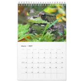 Green Frogs Calendar 2016 Kalender (Mar 2027)