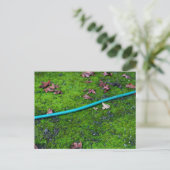 Green Garden Snake Hose Briefkaart (Staand voorkant)
