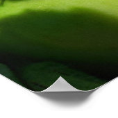 Green Garden Tomato Poster (Hoek)