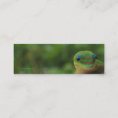 Green Gecko bladwijzer Mini Visitekaartje (Achterkant)