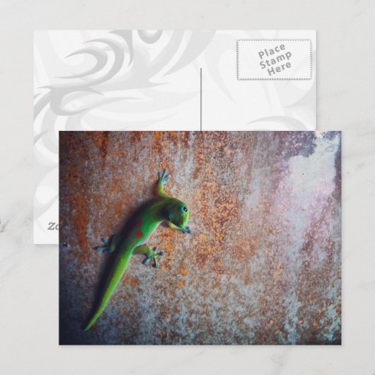 Green Gecko Briefkaart (Voorkant / Achterkant)