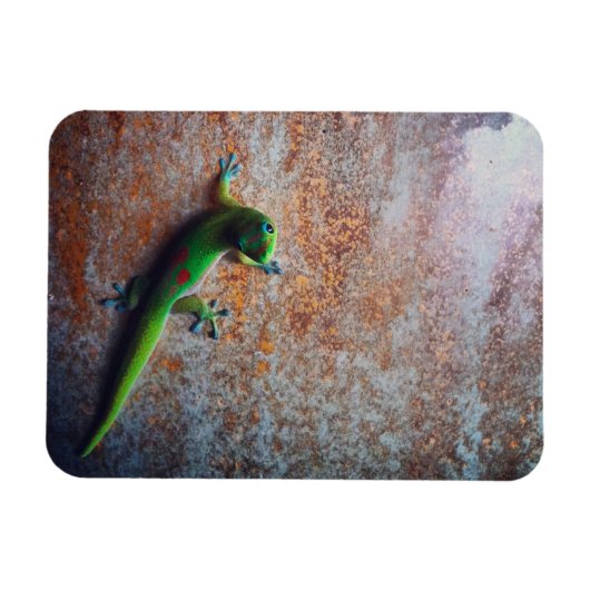 Green Gecko Flexi Magnet Magneet (Horizontaal)