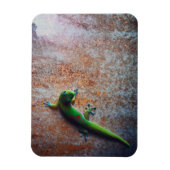 Green Gecko Flexi Magnet Magneet (Verticaal)