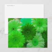 Green Gerbera Daisy Flower Photo Art Briefkaarten (Voorkant / Achterkant)