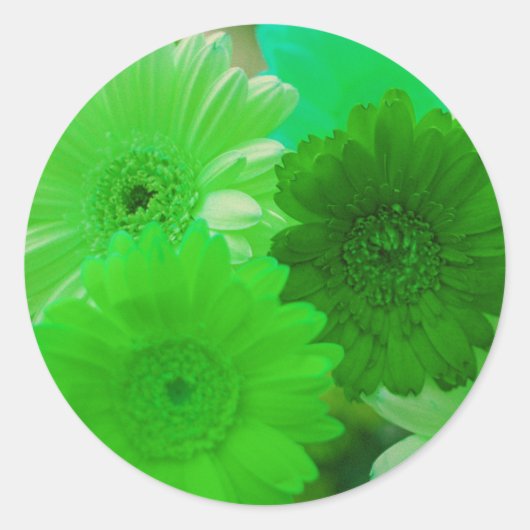 Green Gerbera Daisy Flowers Art Decale Stickers (Voorkant)