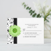 Green Gerbera Daisy met Black Scroll Design RSVP Kaartje (Staand voorkant)