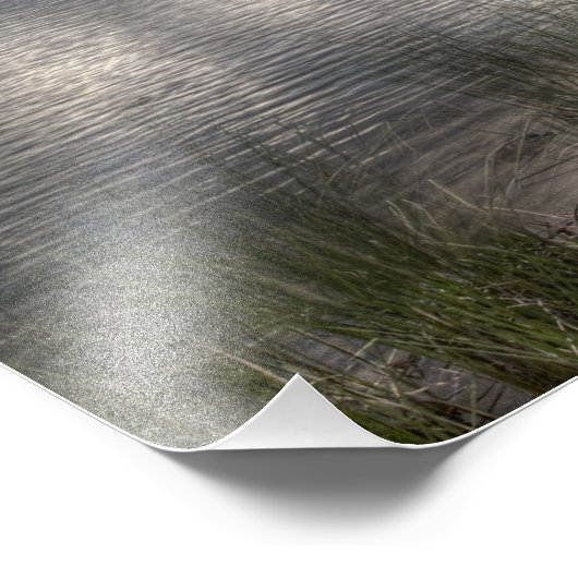 Green Ghost Foto Afdruk (Hoek)