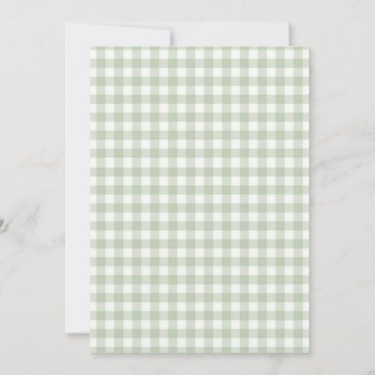 Green Gingham Two Silly Goose Birthday Invitation Kaart (Achterkant)