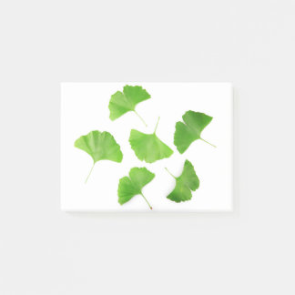 Green Ginkgo Biloba Post-it® Notes